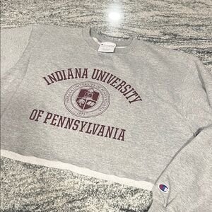 Champion Gray Indiana University of Pennsylvania Crewneck